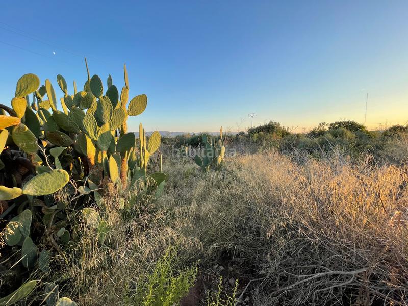 Foto d6406c4e-5135-4ca6-8a9e-1b48420707cb. Rural plot in camino don luis 835 in Cabezo de Torres Murcia