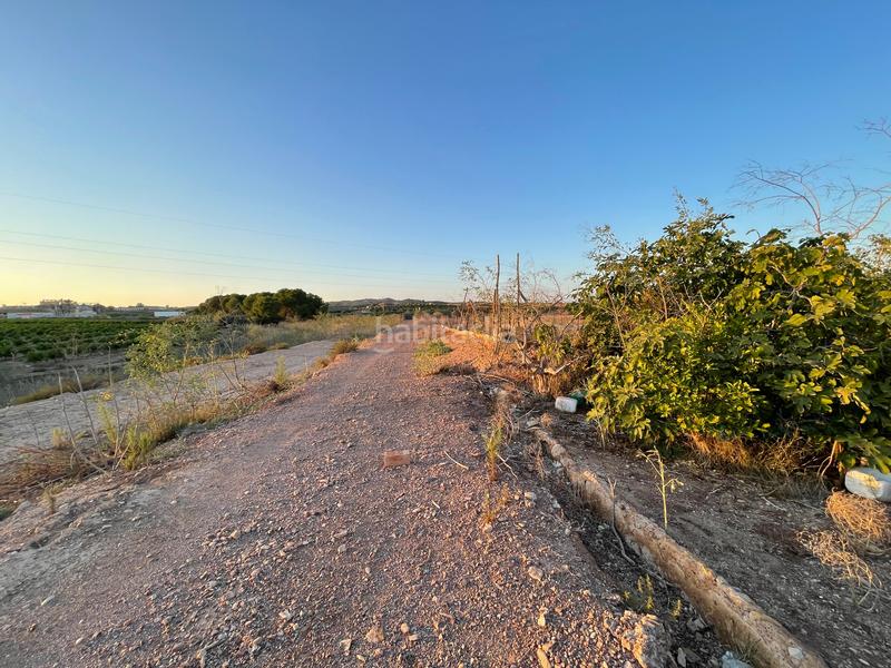 Foto b1abb858-2627-4fcc-b057-ee3a13fe4f54. Finca rústica en camino don luis 835 en Cabezo de Torres Murcia