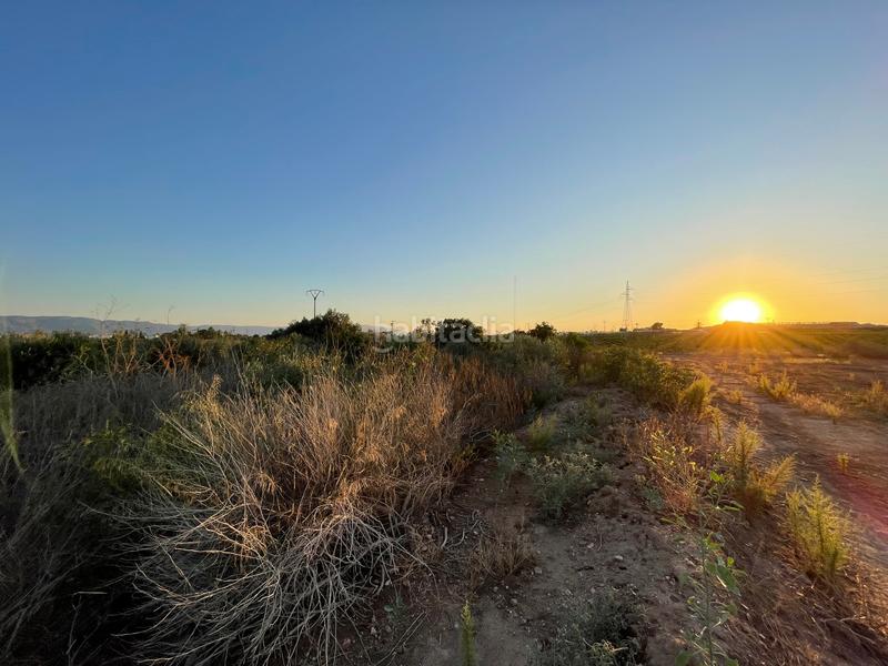 Foto caaa4904-79be-4ef1-afb9-c1cec19168d3. Finca rústica en camino don luis 835 en Cabezo de Torres Murcia