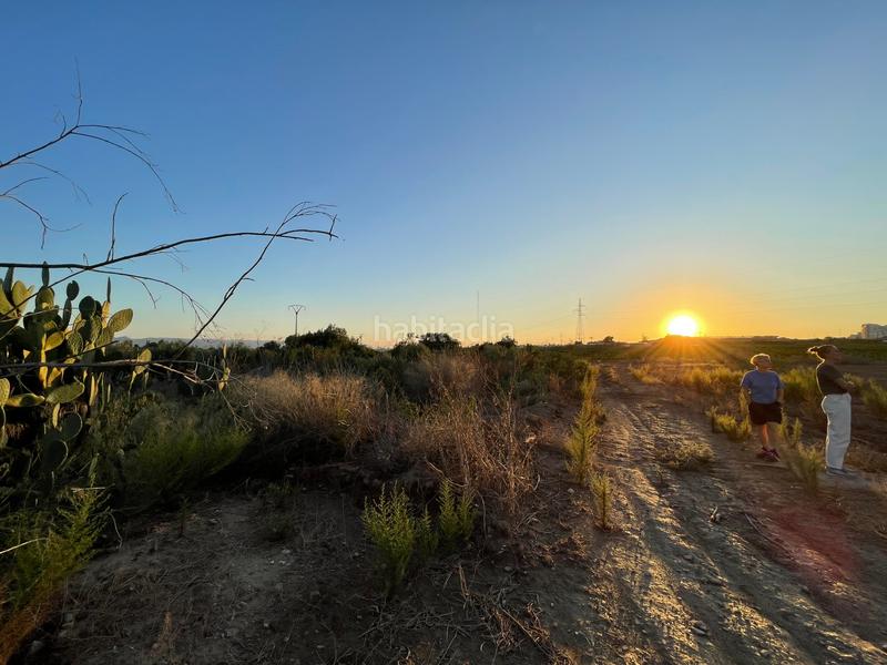 Foto e1fb8976-0a2f-408a-ac81-f1027e3996e7. Finca rústica en camino don luis 835 en Cabezo de Torres Murcia