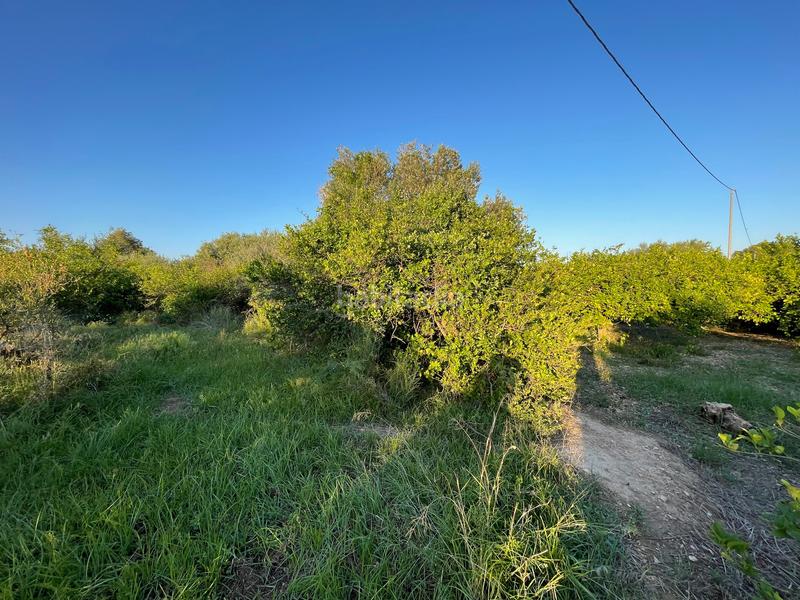 Foto 18861bf3-ae5d-45ba-884f-30e724cd6e34. Fondo rustico in camino castillo de larache 32 in Murcia