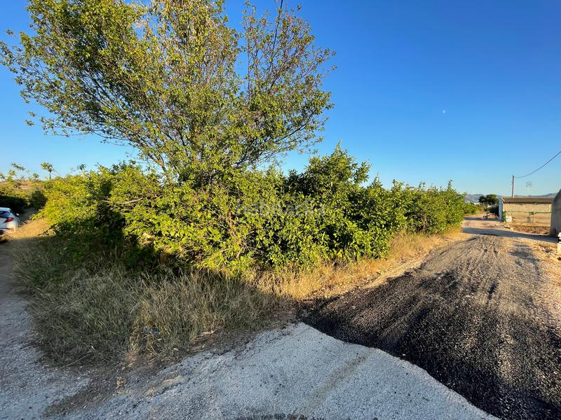 Foto 618942c6-b0f4-44f8-88e6-f85291ba8ec3. Fondo rustico in camino castillo de larache 32 in Murcia