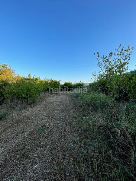 Foto d1e7b1b8-669f-47c0-b64f-b9faf8c0743a. Fondo rustico in camino castillo de larache 32 in Murcia