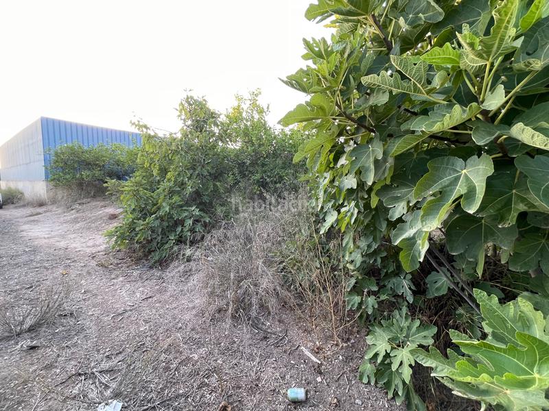 Foto e95e8bb7-45e7-4129-b17f-ee27188abb23. Fondo rustico in camino castillo de larache 32 in Murcia