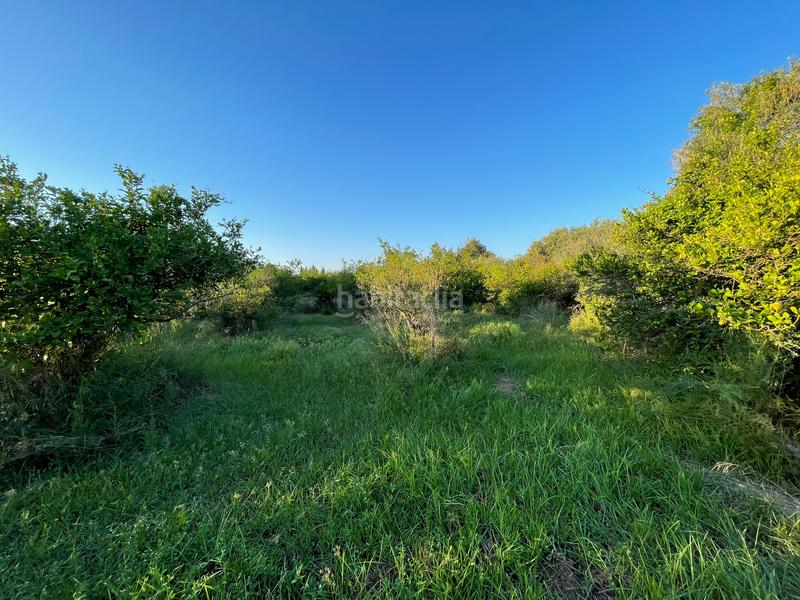 Foto 23c7efc0-88d9-41d6-adf4-ab054679c463. Propriété dans camino castillo de larache 32 dans Monteagudo Murcia