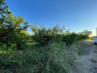 Propriété à Camino Castillo de Larache 32