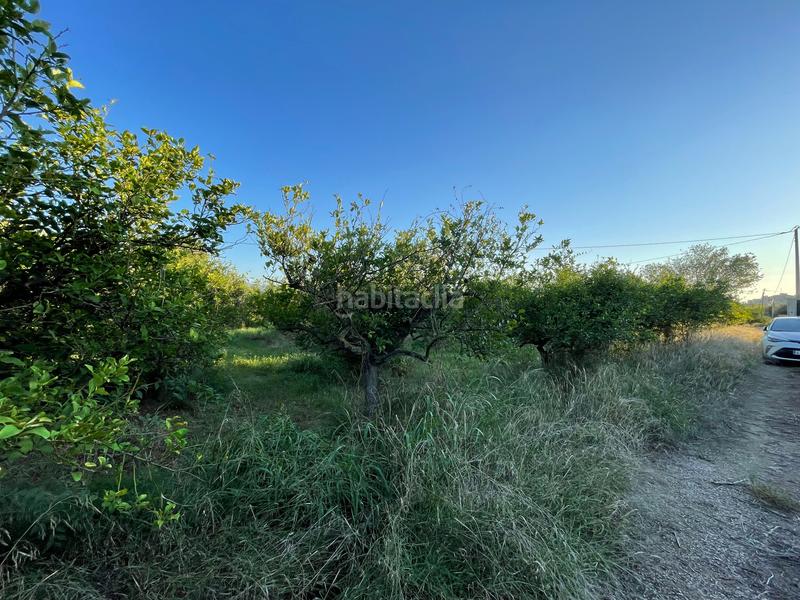 Foto 2c464c72-4423-43ee-b564-5dd8a0a8ecbb. Propriété dans camino castillo de larache 32 dans Monteagudo Murcia