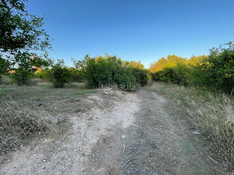 Foto 39ff83de-abeb-4928-bfe0-e9aff36758c0. Propriété dans camino castillo de larache 32 dans Monteagudo Murcia