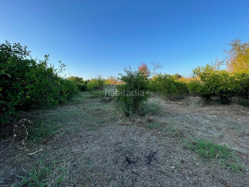 Foto 46291d7b-166d-4f88-b131-56527beedee0. Propriété dans camino castillo de larache 32 dans Monteagudo Murcia