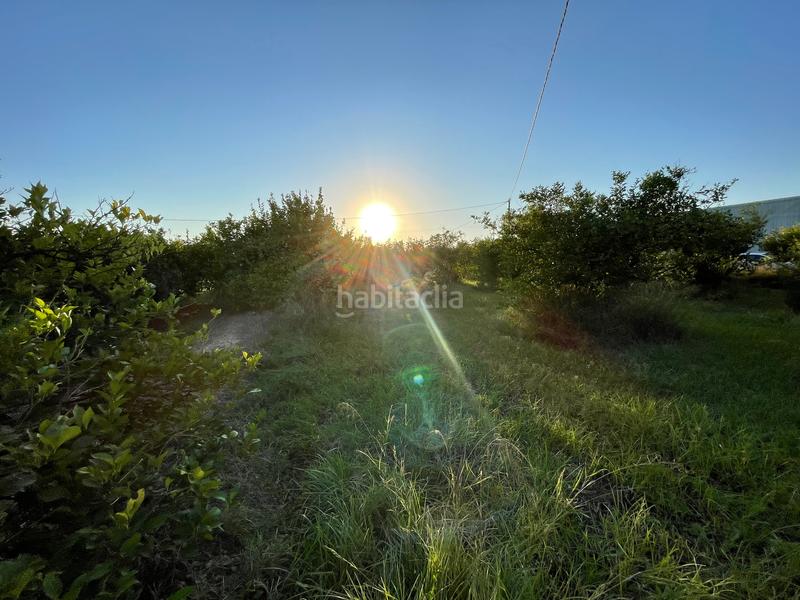 Foto 6ec13cc0-c1d1-4d1c-a13d-0f947b673059. Propriété dans camino castillo de larache 32 dans Monteagudo Murcia