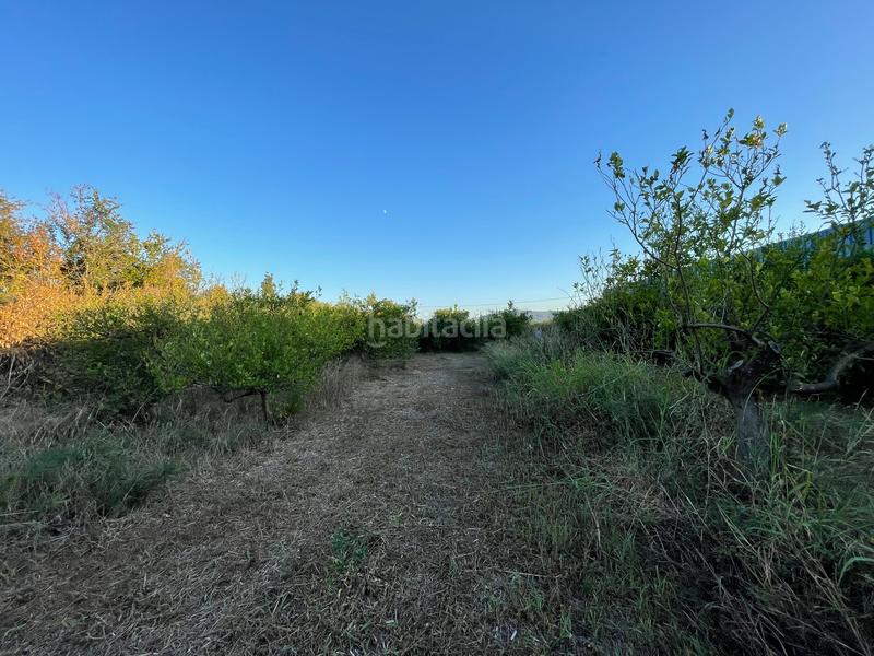 Foto aa7d5d84-437c-4eb2-924f-b7d7e1cfd5d0. Propriété dans camino castillo de larache 32 dans Monteagudo Murcia