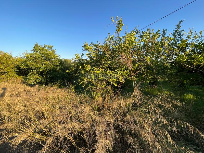 Foto b3ce6694-e8e3-4d19-a7bb-d4a2c289e6fd. Propriété dans camino castillo de larache 32 dans Monteagudo Murcia