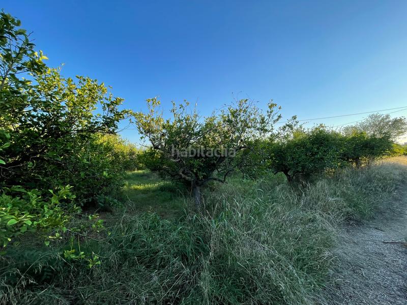 Foto df48ea45-e8f9-46c9-8eac-980b4841cfa8. Propriété dans camino castillo de larache 32 dans Monteagudo Murcia