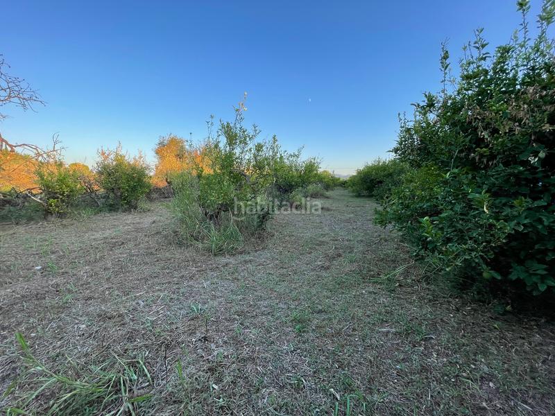 Foto eea60e02-319d-4be4-b5d3-136b14ddcf9a. Propriété dans camino castillo de larache 32 dans Monteagudo Murcia