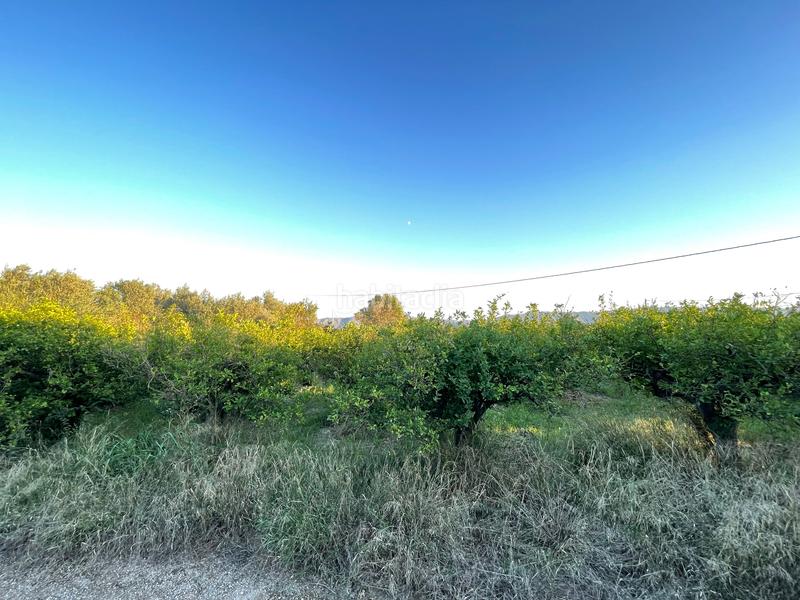 Foto 157c2c9e-3535-4623-9f67-33c9a628b083. Rural plot in camino castillo de larache 32 in Monteagudo Murcia