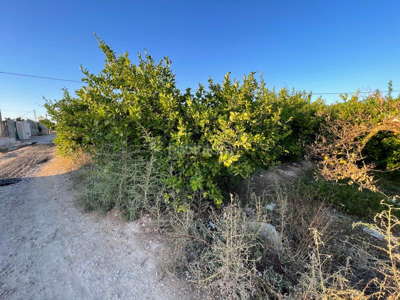 Foto 197955de-88c5-4467-83a7-1d621232d583. Rural plot in camino castillo de larache 32 in Monteagudo Murcia