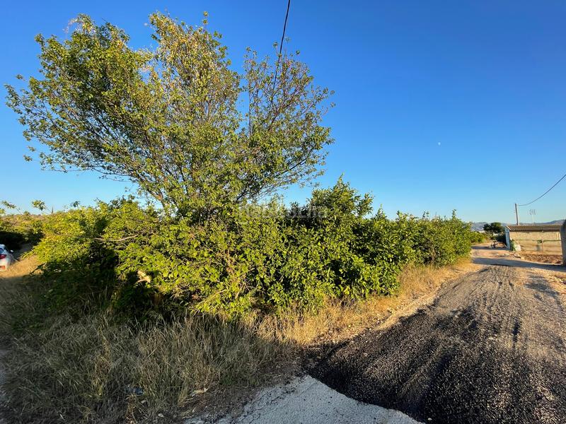 Foto 1d36b2f3-5509-4149-818a-719dd921d852. Rural plot in camino castillo de larache 32 in Monteagudo Murcia