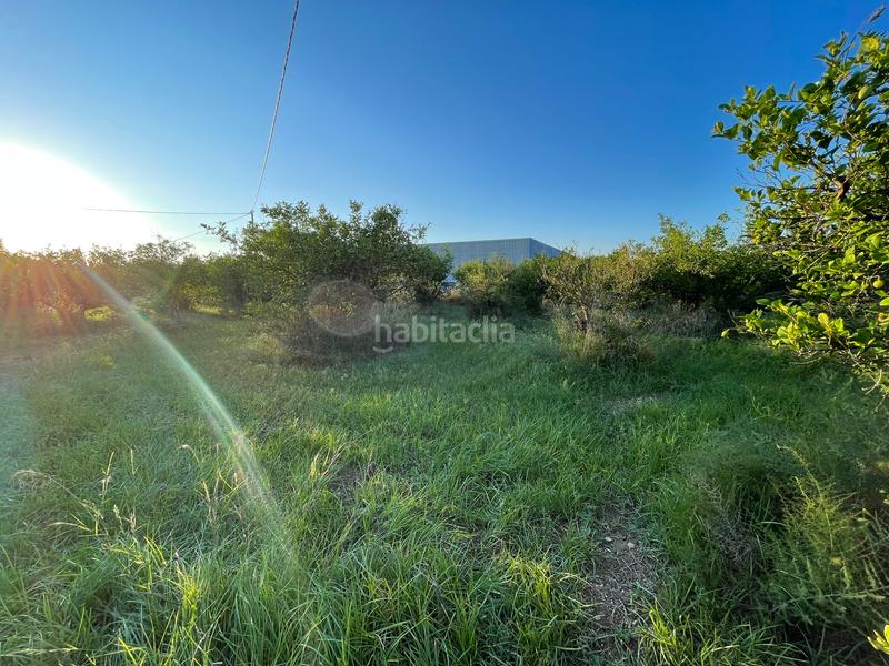 Foto 2d46bbaf-84cc-4d13-a0de-648570cbd7bc. Rural plot in camino castillo de larache 32 in Monteagudo Murcia