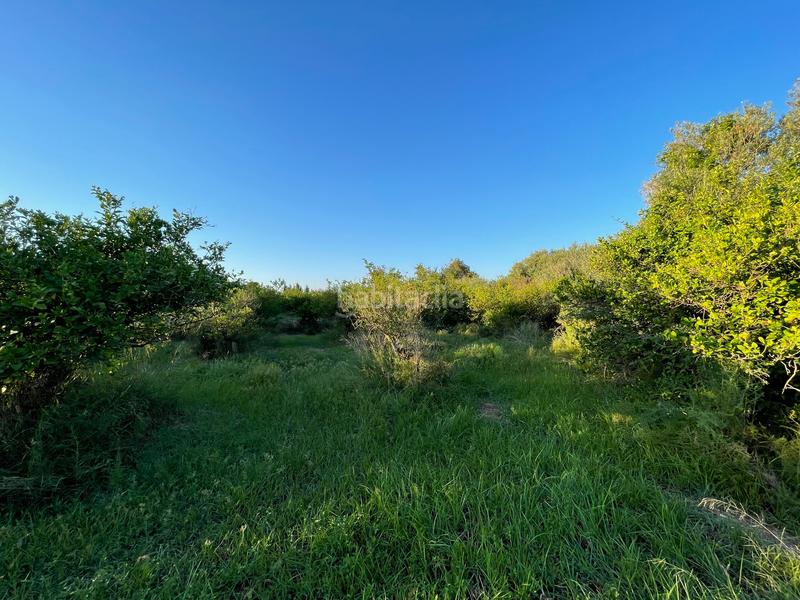 Foto 534fcd89-31d5-4095-9396-69f178c67d9f. Rural plot in camino castillo de larache 32 in Monteagudo Murcia