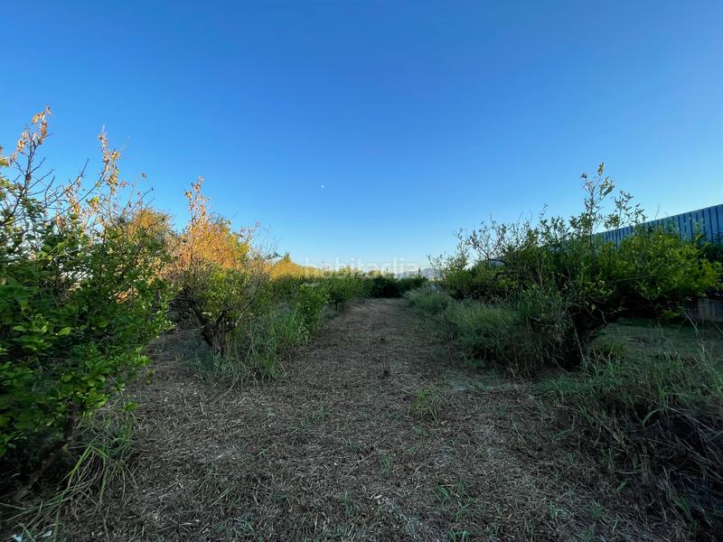 Foto 55fdb283-a6bf-4b81-a108-48c1e7ed0544. Rural plot in camino castillo de larache 32 in Monteagudo Murcia