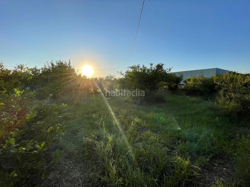 Foto 6929b0eb-0eb9-4230-8d3d-337db6abf99e. Rural plot in camino castillo de larache 32 in Monteagudo Murcia