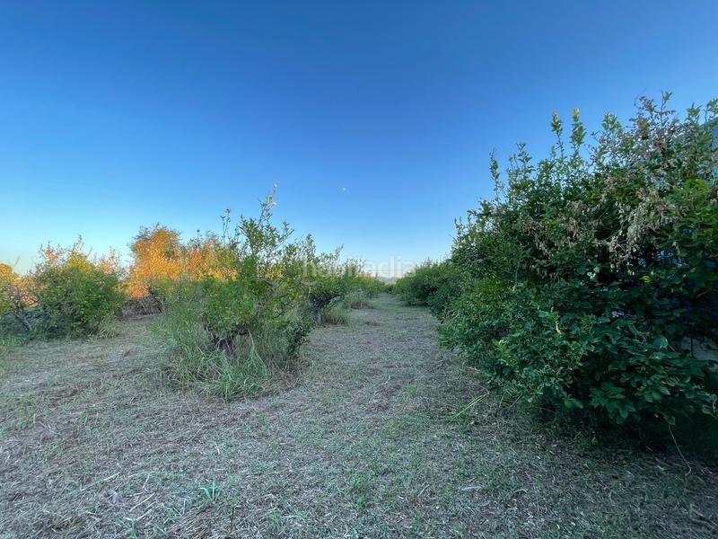 Foto 6e8061f1-e3cd-4828-9960-ea29a882d8b8. Rural plot in camino castillo de larache 32 in Monteagudo Murcia