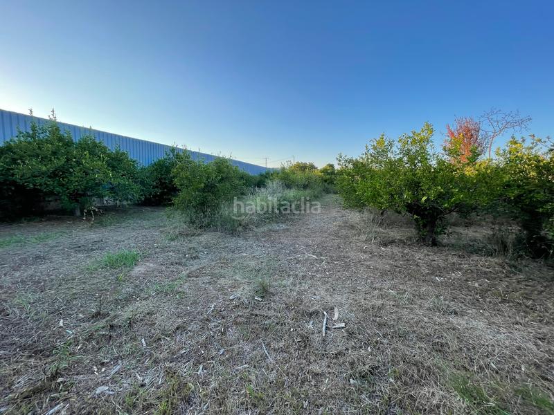 Foto 715be015-d5e3-4831-a0a3-b9bccecb0fbf. Rural plot in camino castillo de larache 32 in Monteagudo Murcia
