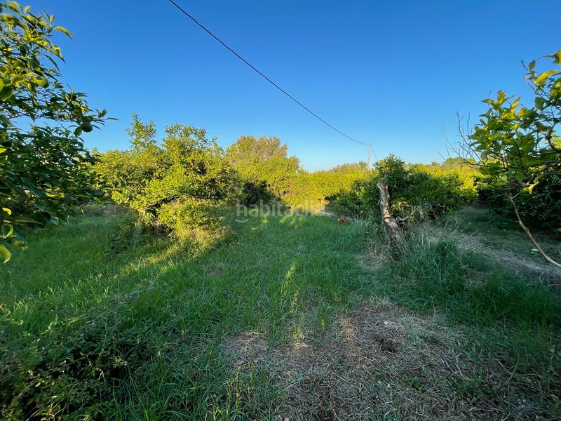 Foto 7811eff6-f019-4d88-807d-add9afe1cce9. Rural plot in camino castillo de larache 32 in Monteagudo Murcia