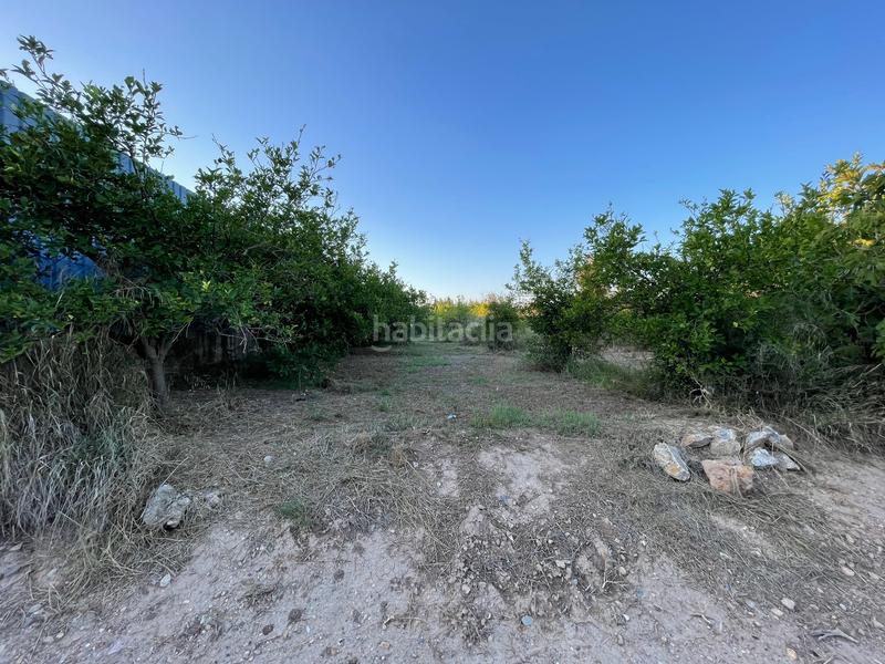 Foto 7af92739-a22b-4d40-b8ba-c3ef401c12f8. Rural plot in camino castillo de larache 32 in Monteagudo Murcia