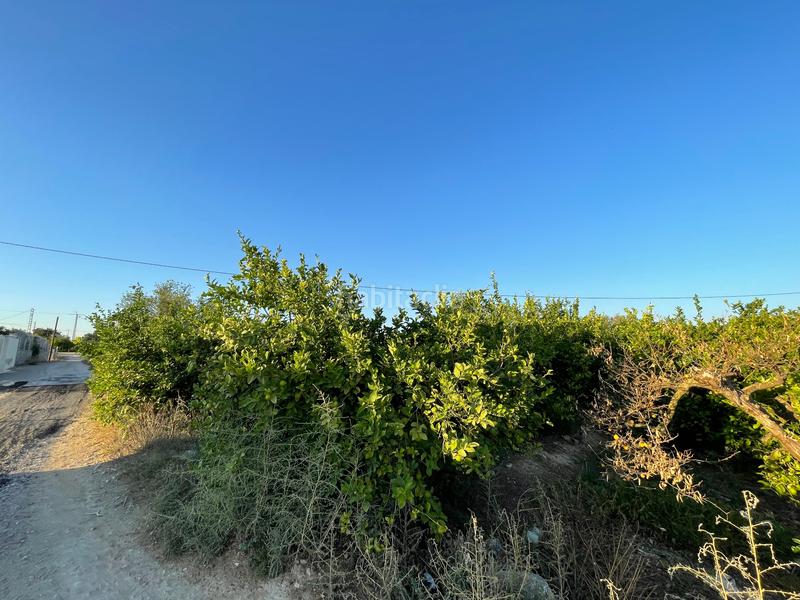 Foto 83efc921-29db-49ad-a8ac-40834a05dd3e. Rural plot in camino castillo de larache 32 in Monteagudo Murcia