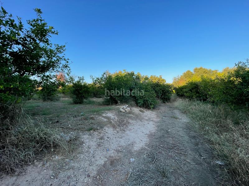 Foto 9469f5ba-aa9a-4668-a8ed-e299faaf6bfe. Rural plot in camino castillo de larache 32 in Monteagudo Murcia