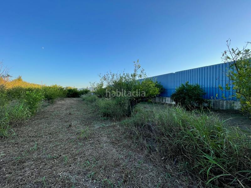 Foto 999f945b-4651-47fc-824c-75ccf4ef571b. Rural plot in camino castillo de larache 32 in Monteagudo Murcia