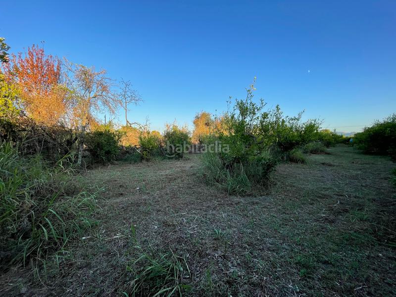 Foto 9e54e5ca-7397-449b-a277-85d4a65e5157. Rural plot in camino castillo de larache 32 in Monteagudo Murcia