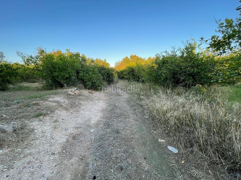 Foto cd91ae61-b637-4ab0-89d4-cf303b1cd2a6. Rural plot in camino castillo de larache 32 in Monteagudo Murcia