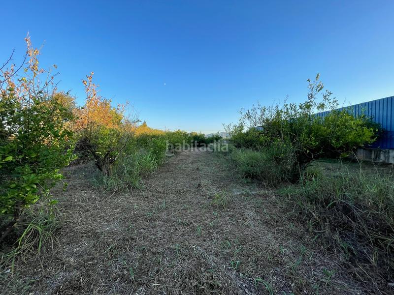 Foto d96d5389-ce9c-4b7b-962f-afa9b6665a33. Rural plot in camino castillo de larache 32 in Monteagudo Murcia