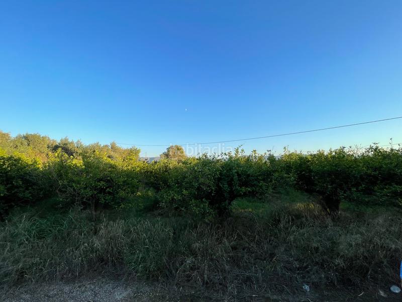 Foto 43d9161a-2d37-47fe-82b5-b153cb329438. Finca rústica en camino castillo de larache 32 en Murcia