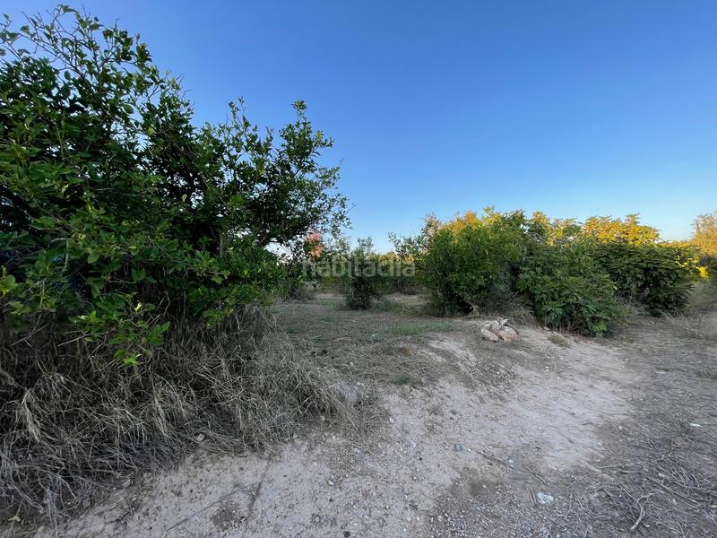 Foto 6d08a299-cdea-437e-aafb-f8599ec0ebb5. Finca rústica en camino castillo de larache 32 en Murcia