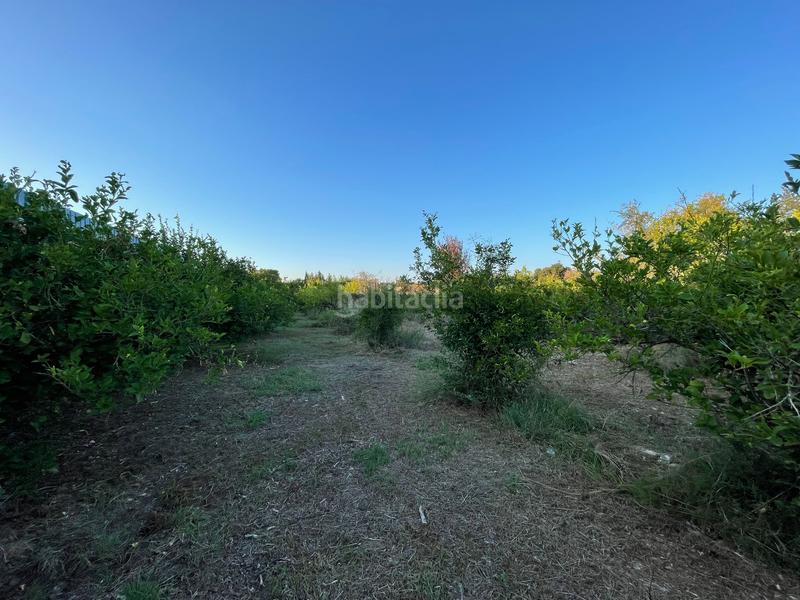 Foto 9edbf82b-0a9f-4952-ab53-f8d75dffa30b. Finca rústica en camino castillo de larache 32 en Murcia