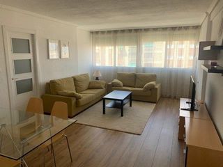 Rent Flat  Plaza honduras. Estudiantes, en plena plaza honduras   excelente ubicación para