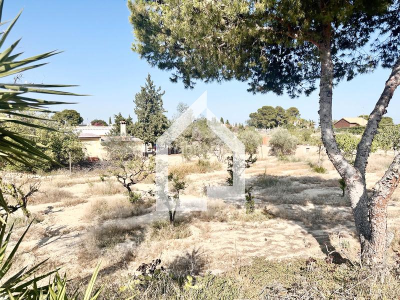 Foto 087eedc2-df82-4262-b4d6-04f378f60ebc. Xalet a Villamontes-Boqueres Sant Vicent del Raspeig