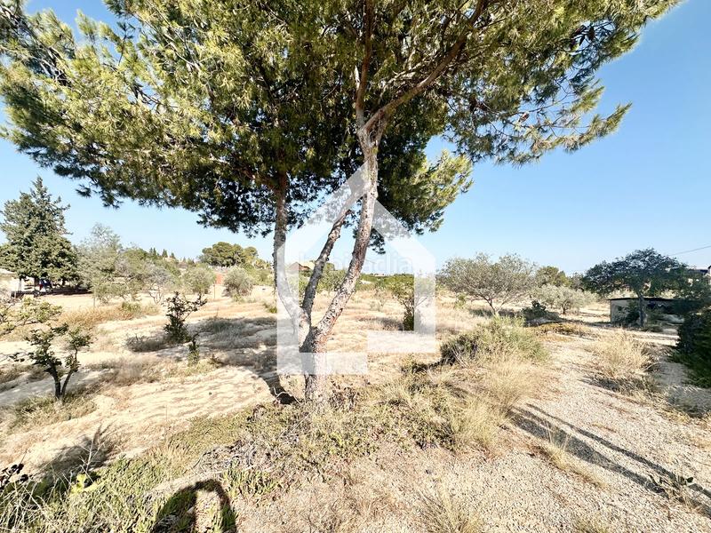 Foto 46220d30-a3f1-4644-a4bc-aafd3db0e797. Xalet a Villamontes-Boqueres Sant Vicent del Raspeig