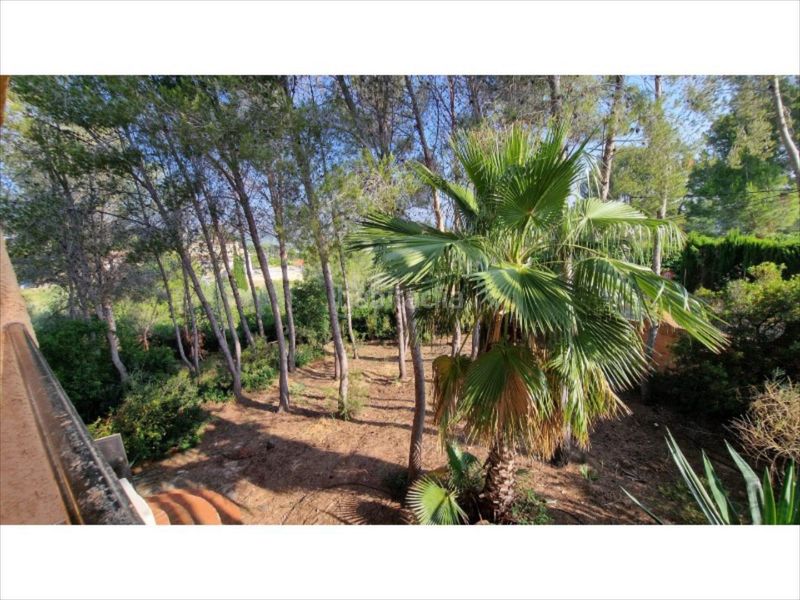 Foto 0afe85fd-4365-40d2-b514-a508b0227a7c. Casa amb piscina a Alberic