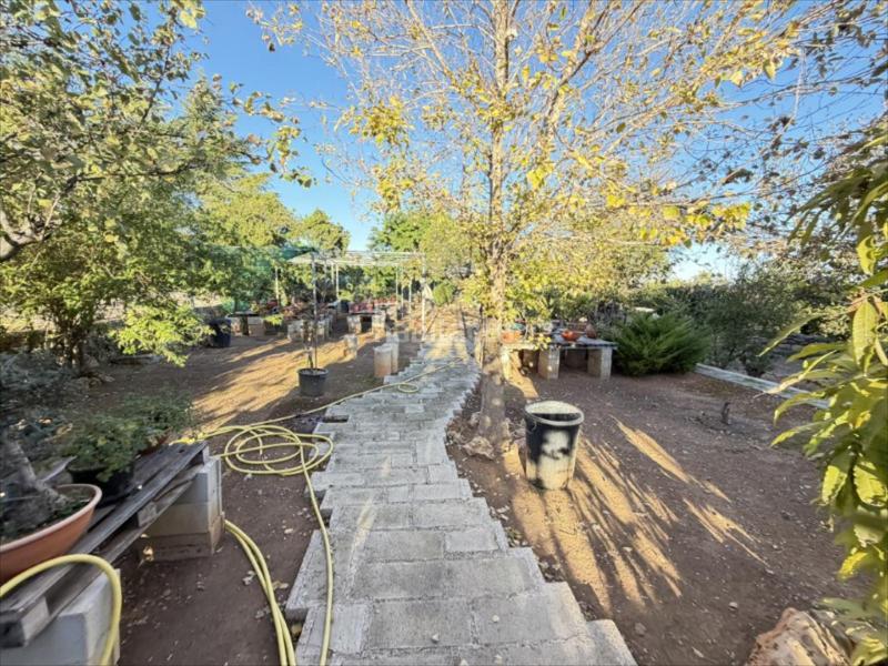 Foto 2548ab0c-4202-45e6-bff0-e353834e541c. Maison dans Urbanitzacions i Pedanies Nord Alzira