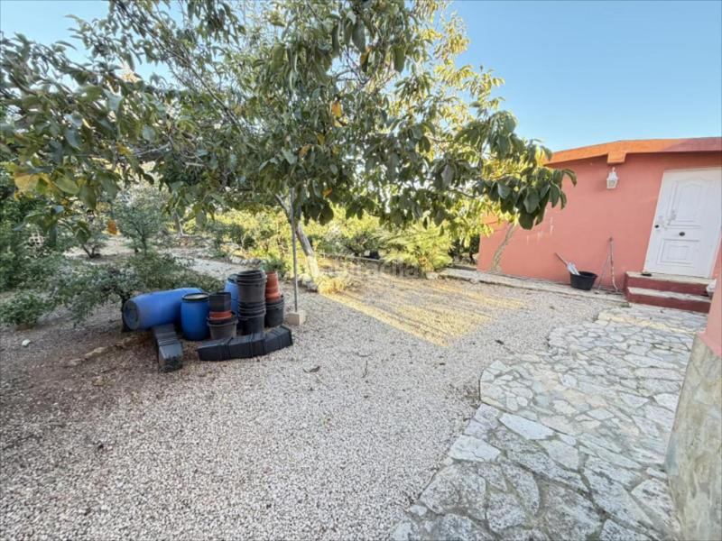 Foto 3e5f40c0-6174-4e89-9484-4523a414a9ed. Maison dans Urbanitzacions i Pedanies Nord Alzira