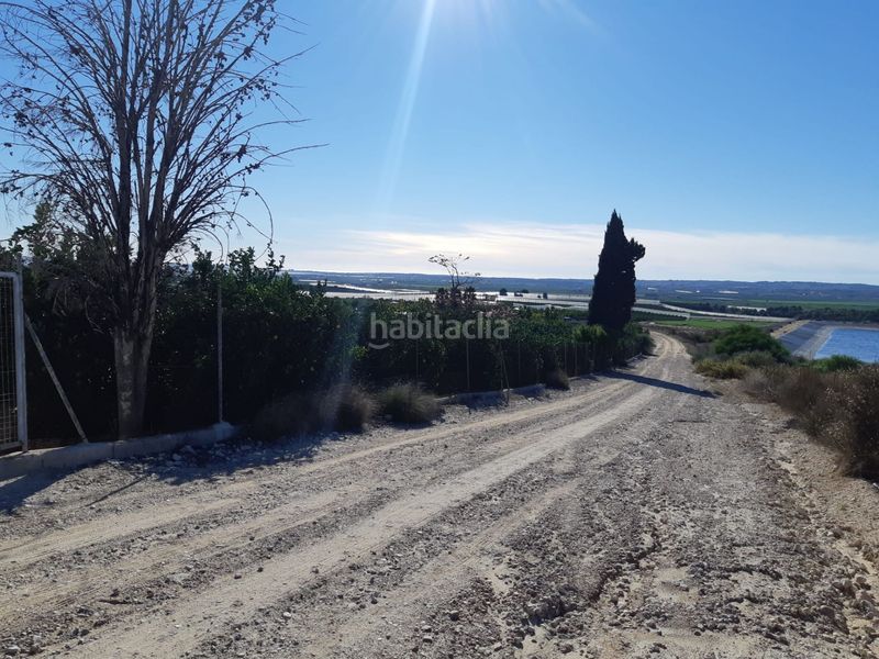 Foto 5a2ea235-c0ab-442c-88b7-1e71cbf7a5ff. Masía venta parcela rustica con casa en vistabella golf en San Miguel de Salinas