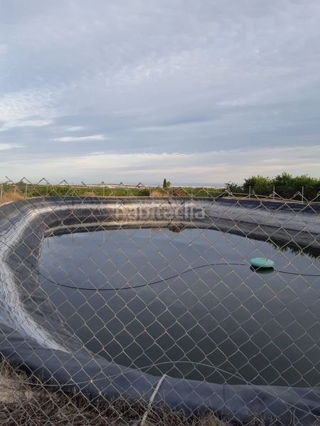 Foto 76038499-5630-4ab6-92bb-31b2333c11d2. Masía venta parcela rustica con casa en vistabella golf en San Miguel de Salinas