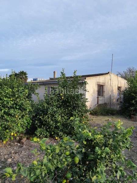 Foto a058ff5e-0b15-43f6-b145-4fcf523775cb. Masía venta parcela rustica con casa en vistabella golf en San Miguel de Salinas