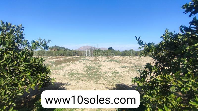 Foto 05d81d72-9c64-4a1d-ab7c-fcedff9b6967. Finca rústica parcela rustica en venta en Jacarilla