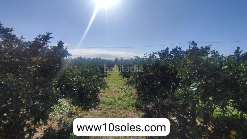 Foto 55e8c05a-5524-43f9-86c7-e442a2eae12d. Finca rústica parcela rustica en venta en Jacarilla