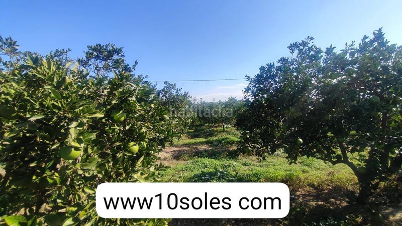 Foto 7d43be93-37e5-43e5-9144-53d90ea89e11. Finca rústica parcela rustica en venta en Jacarilla